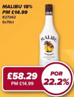Bestway Malibu offer