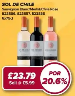 Bestway Sol de Chile offer