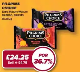 Bestway Pilgrims choice offer