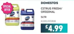 Bestway Domestos citrus fresh/ original offer