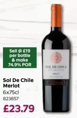 Bestway Sol De Chile Merlot offer