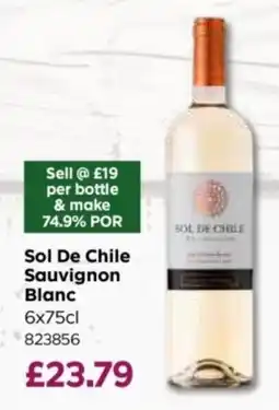 Bestway Sol De Chile Sauvignon Blanc offer