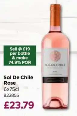 Bestway Sol De Chile Rose offer