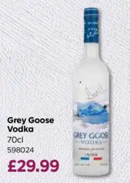 Bestway Grey Goose Vodka offer