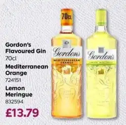 Bestway Gordon's flavoured gin offer