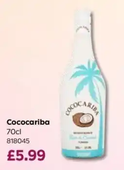 Bestway Cococariba offer