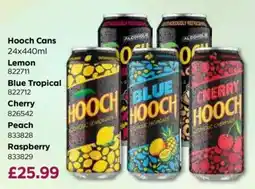 Bestway Hooch cans offer