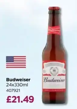 Bestway Budweiser offer
