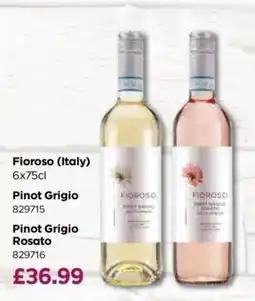 Bestway Fioroso pinot grigio offer