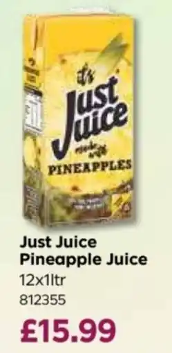 Bestway Just Juice Pineapple Juice offer