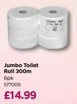 Bestway Jumbo Toilet Roll offer