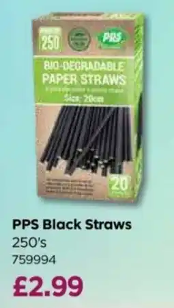 Bestway Pps Black Straws offer