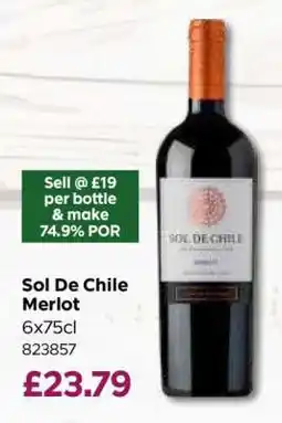 Bestway Sol De Chile Merlot offer
