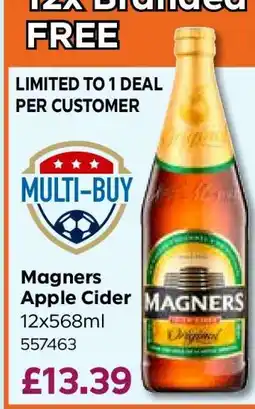 Bestway Magners Apple Cider offer