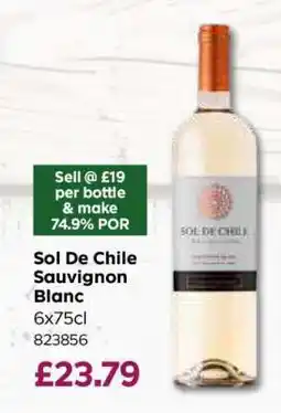 Bestway Sol De Chile Sauvignon Blanc offer