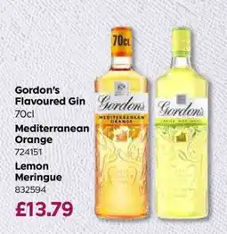 Bestway Gordon's Flavoured Gin offer