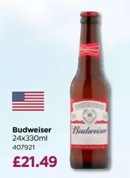 Bestway Budweiser offer