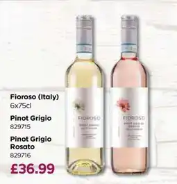 Bestway Fioroso (Italy) offer