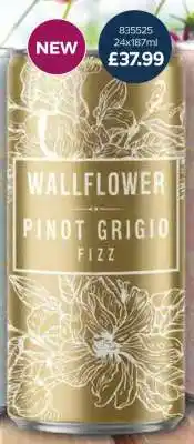 Bestway Wallflower Pinot Grigio Fizz offer