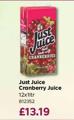 Bestway Just Juice Cranberry Juice offer