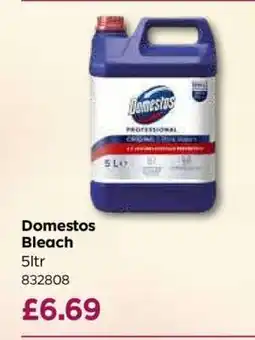 Bestway Domestos Bleach offer
