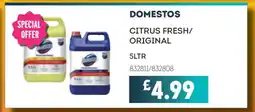 Bestway Domestos offer