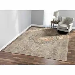 Costco Korhani Washable Area Rug in 3 Designs, 240 x 300 cm offer