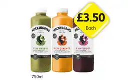 Londis Mockingbird Large Raw Greens, Defence, Boost offer