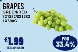 Bestway Grapes Green/Red offer