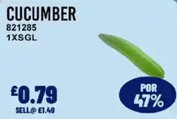 Bestway Cucumber offer