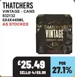 Bestway Thatchers vintage offer