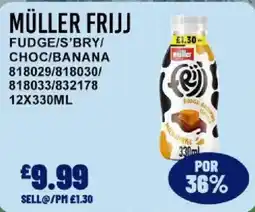Bestway Müller frijj offer