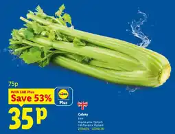 Lidl Celery offer