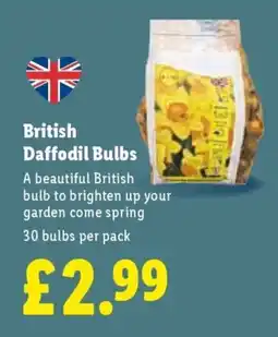 Lidl British Daffodil Bulbs offer
