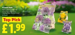 Lidl Premium Bulbs offer