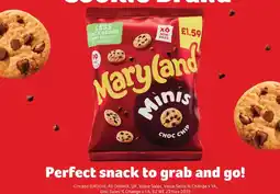 Bestway Maryland minis choc chip offer