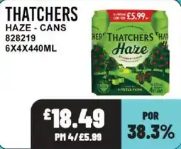 Bestway Thatchers haze - cans offer