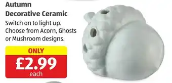 Autumn Decorative Ceramic
