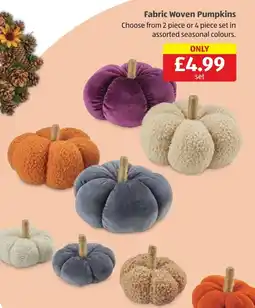 Aldi Fabric Woven Pumpkins offer