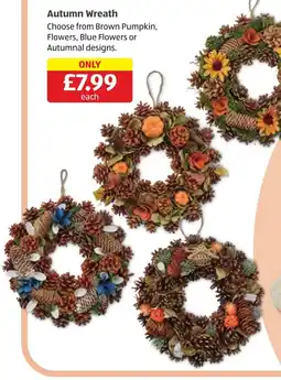 Aldi Autumn Wreath offer