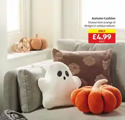Aldi Autumn Cushion offer