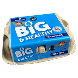 Iceland Ballygarvey 6 Big & Healthy Fresh Eggs 420g offer