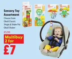 Lidl Sensory Toy Assortment offer