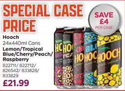 Bestway Hooch offer