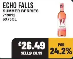 Bestway Echo falls summer berries offer