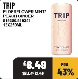 Bestway Trip elderflower mint peach ginger offer