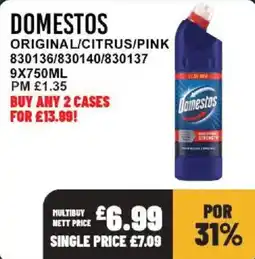 Bestway Domestos original offer