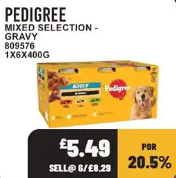 Bestway Pedigree mixed selection gravy offer