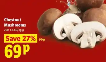 Chestnut Mushrooms