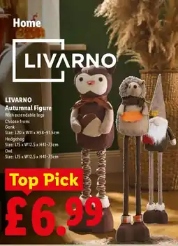 Lidl Livarno autumnal figure offer